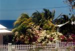 Photo Guadeloupe