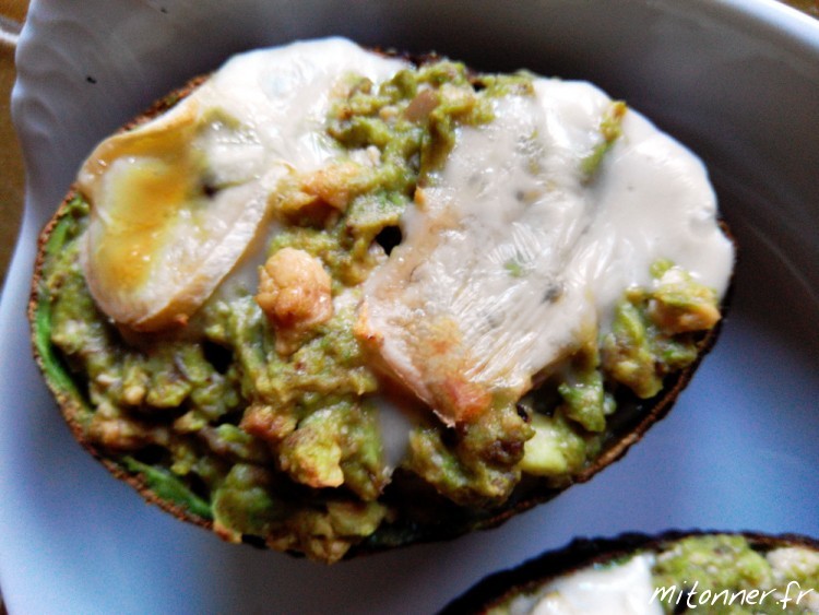 Avocat gratiné